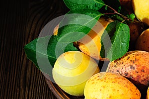 Ripe apricots with green leaves on a ceramic plate on a wooden table