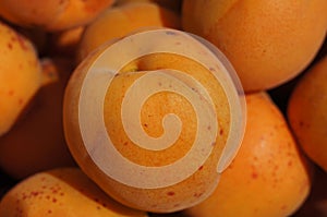 Ripe apricots