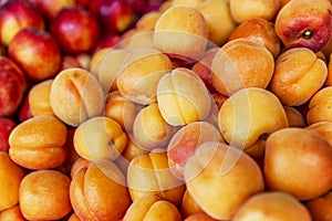 Ripe apricots in the market. A lot of juicy beautiful berries. Close-up. Vitamins and a healthy diet