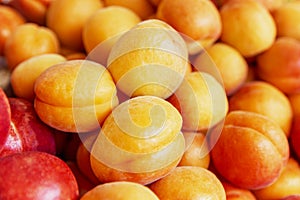 Ripe apricots in the market. A lot of juicy beautiful berries. Close-up. Vitamins and a healthy diet