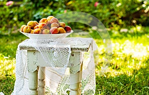 Ripe apricots in a plate on a chair on a summer day