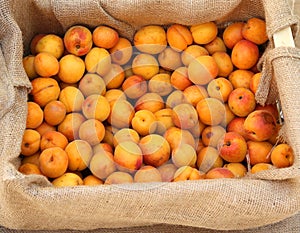 ripe apricots for sale at local fruit maket