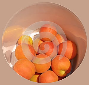 Ripe apricots in a white plate