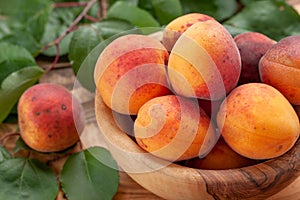 Ripe apricots in a wooden bowl on the background of not painted boards