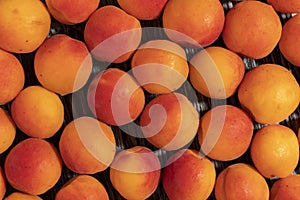 Ripe apricots on a wooden table.