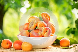 Ripe apricots on a wooden table