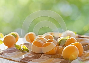 Ripe apricots on wooden table with nature background