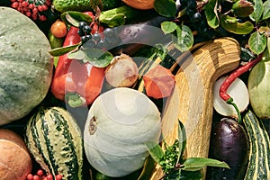 Ripe autumn vegetables and berries are laid out on the table. View from above.