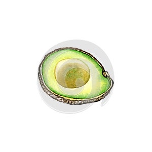 Ripe avocado drawing. Green avocado fruits, healthy nutritious natural food and watercolor illustrations of avocado