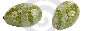 Ripe avocado isolated on white background. File contains clipping path