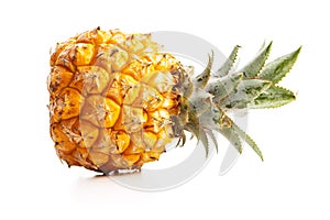 Ripe baby pineapple. Mini pineapple isolated on white background