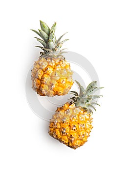 Ripe baby pineapple. Mini pineapple isolated on white background