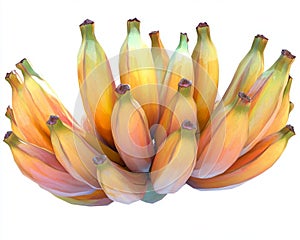Ripe banana bunch clipart on white background watercolor 3D render photo