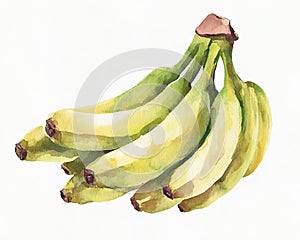 Ripe banana bunch clipart on white background watercolor 3D render photo