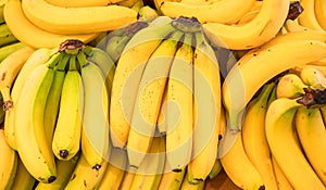 Ripe banana bunches on the farm market stall. Close up