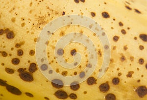 Ripe banana close up abstract