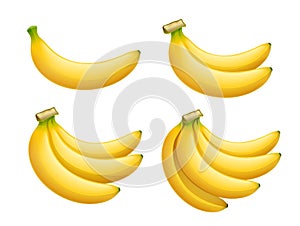 Ripe banana. Set of Tropical fruit. Vector illustration.