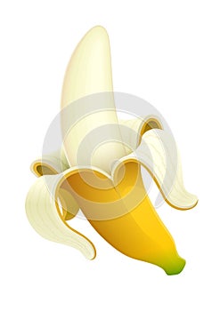 Ripe banana. Tropical fruit. Vector illustration.