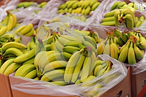 Ripe bananas on boxes in supermarket