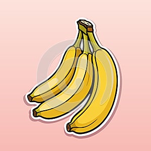 Ripe bananas. Color vector illustration