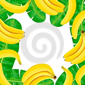 Ripe Bananas and palm leaves frame. Central place for text. label template. Vector illustration with tropic