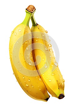 Ripe bananas are yellow on a white background