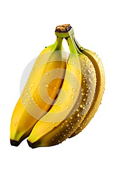 Ripe bananas are yellow on a white background