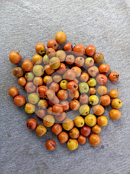 The ripe Ber & x28; jujube & x29; of Indian fruits are delicious , with Gray color texture background