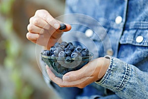 Ripe berries in hand, handful of organic blueberries