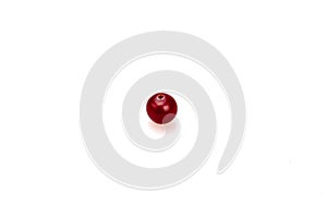 Ripe berry organic cranberry on a white background