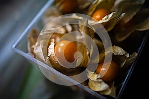 Ripe Berry Physalis In A Box