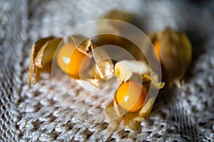 Ripe Berry Physalis In A Box