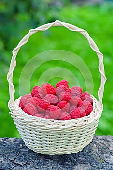 Ripe berry in wicker basket. Vintage basket with raspberries.
