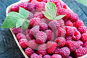 Ripe, big, sweet raspberry in a little wooden basket, on texture