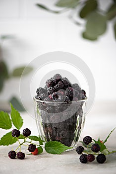 ripe black forest raspberries in a glass