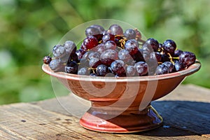 Ripe black grapes