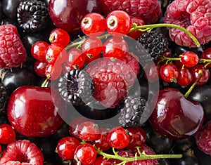 Ripe blackberries, blackcurrants, cherries, red currants and raspberries. Mix berries and fruits. Top view. Background berries and