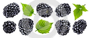 Ripe blackberry isolated on white background closeup