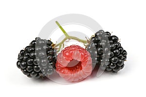 Ripe blackberry and raspberry
