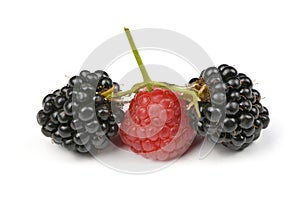 Ripe blackberry and raspberry