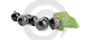 Ripe blackcurrants and leaf isolated on white