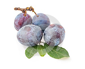 Ripe blue plums with leaves