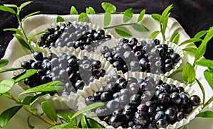 Ripe blueberries