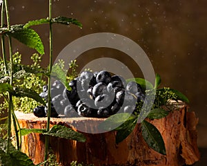 Ripe blueberries and mint on brown background