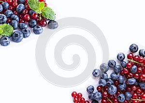 Ripe blueberries and red currants on a white background. Berries at border of image with copy space for text.