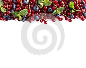 Ripe blueberries and red currants on a white background. Mixed berries at border of image with copy space for text.