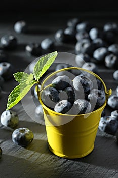 Ripe blueberries in a small bucket on a gray background
