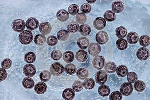 Ripe blueberry berries in blue water with air bubbles