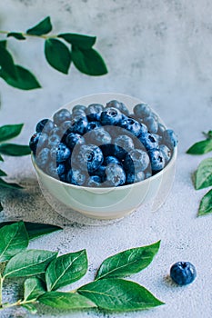 Ripe blueberry in bowl with green leaves over gray table background copy space.