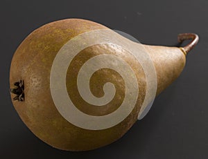 Ripe Bosc Pear